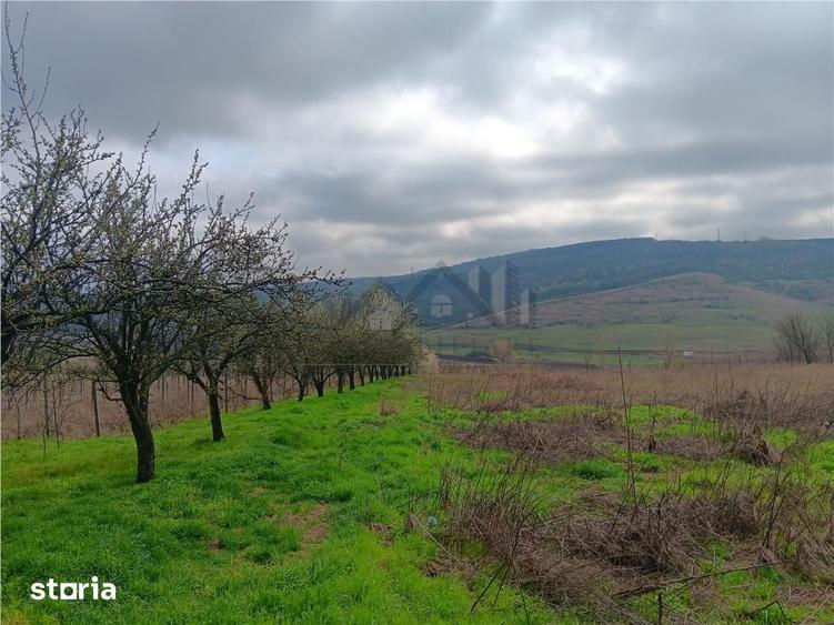 Teren de 46000 mp, în Aroneanu
