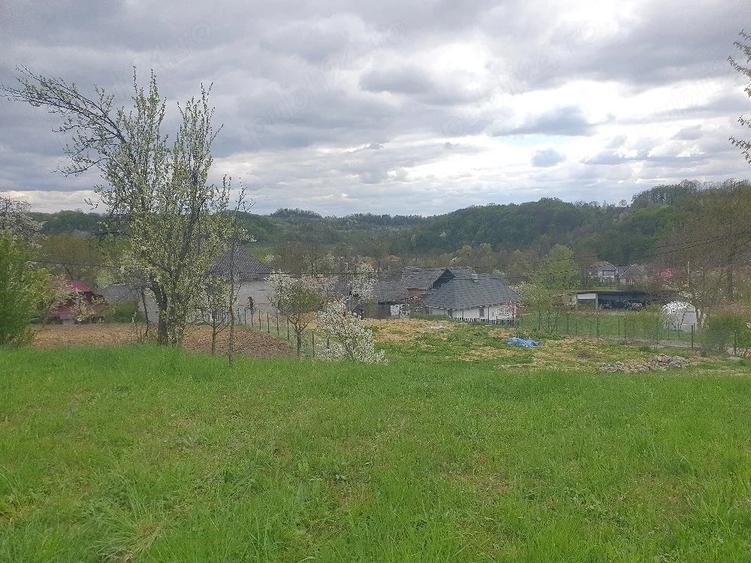 Teren de 1600 mp, în Groși