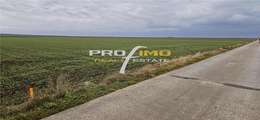 Teren agricol extravilan de 4200 mp, în Corbu
