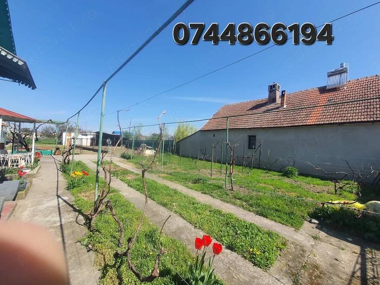 Casă cu Teren 1996 Mp în Giulvăz