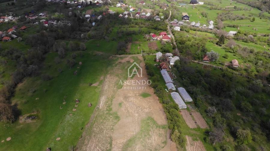 Teren Construcții extravilan de 19356 mp, în Breb
