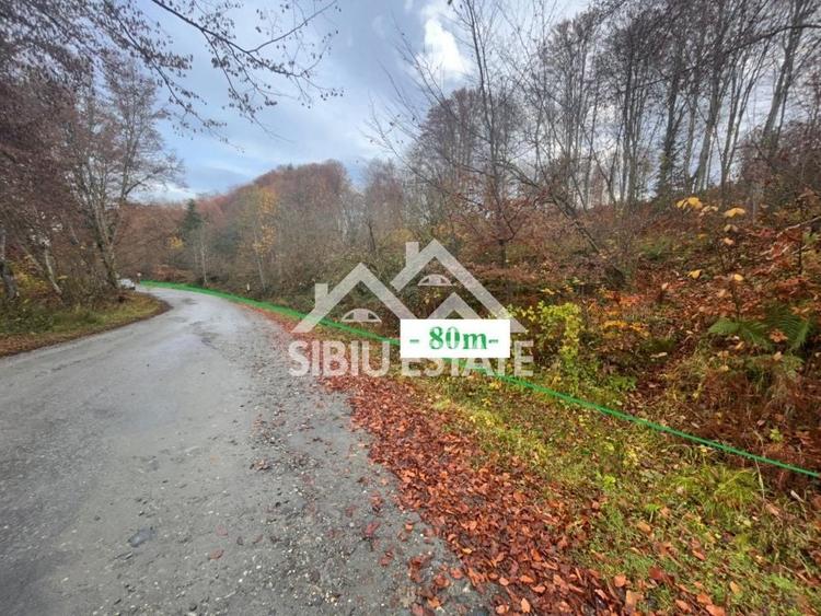 Teren Construcții intravilan de 3000 mp, în Sud