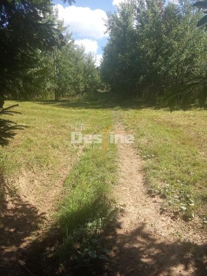 Teren Construcții extravilan de 3200 mp, în Moisei