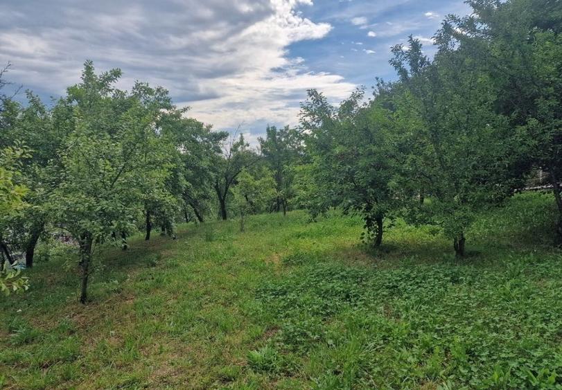 Teren Construcții intravilan de 1400 mp, în Albota