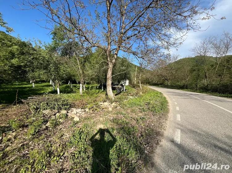 Teren de 2000 mp, în Borlova