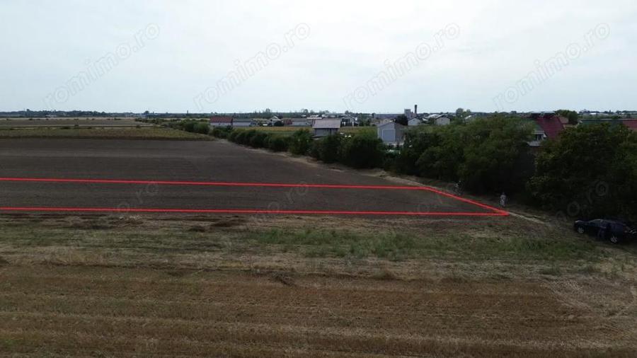Teren de 6000 mp, în Dârza