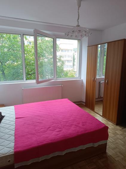 Apartament 2 camere, de vânzare,  Grigorescu , strada Vlahuță, etaj 2 din 9 - 6