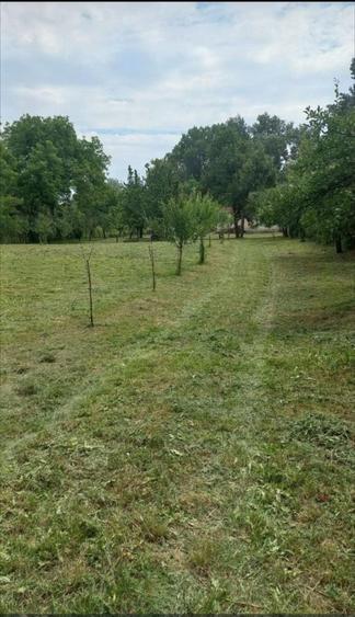 Teren Construcții intravilan de 3562 mp, în Ștrandului