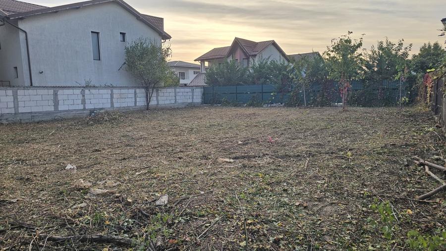 Teren Construcții intravilan de 594 mp, în Chiajna