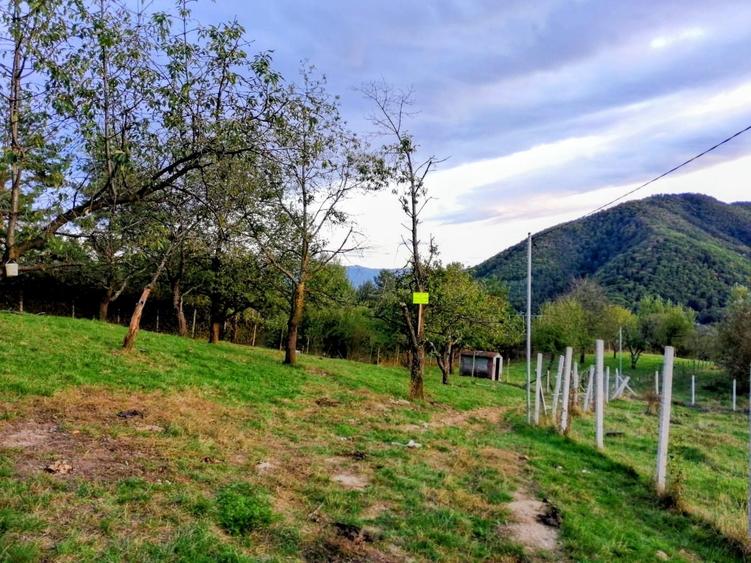 URGENT - Teren intravilan 916 mp in Cisnadioara 79.996,00 EUR cu plata in rate - 3