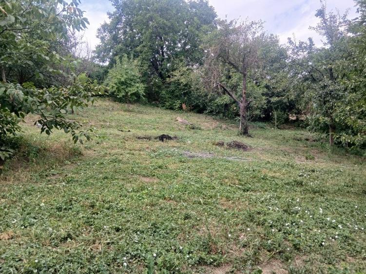 Casă cu 3 camere în Central