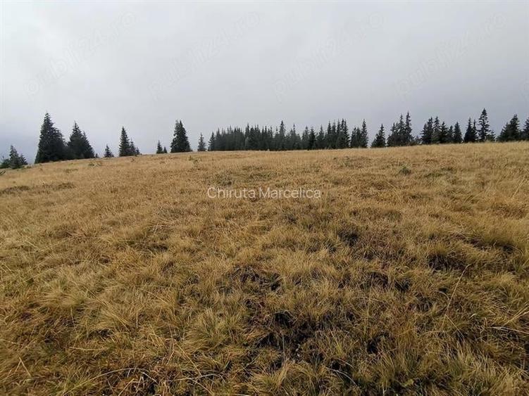 Teren de vanzare , loc. Glodu