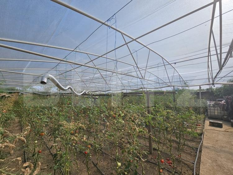 Teren agricol extravilan de 14068 mp, în Periferie