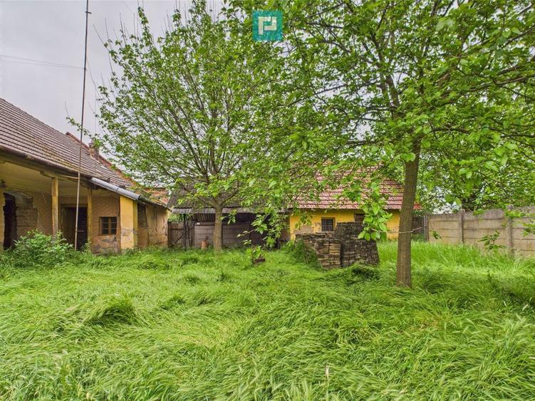 Casa de reabilitat pe teren generos- Comuna Varia? - 5