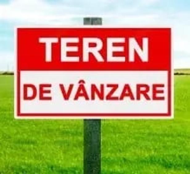 Teren de 200000 mp, în Căteasca