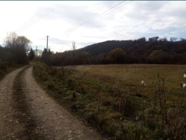 Teren de 10000 mp, în Central
