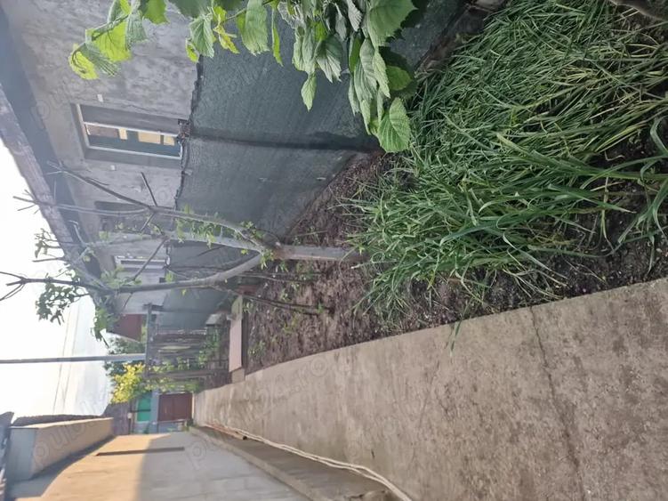 Schimb casa Slobozia Noua cu garsoniera confort 1 ,diferen?a la buna in?elegere! - 4