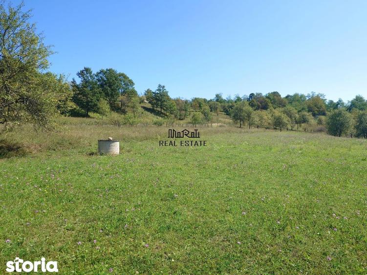 Teren de 8757 mp, în Luncoiu de Jos