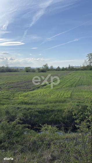 Teren de 20000 mp, în Budeasa