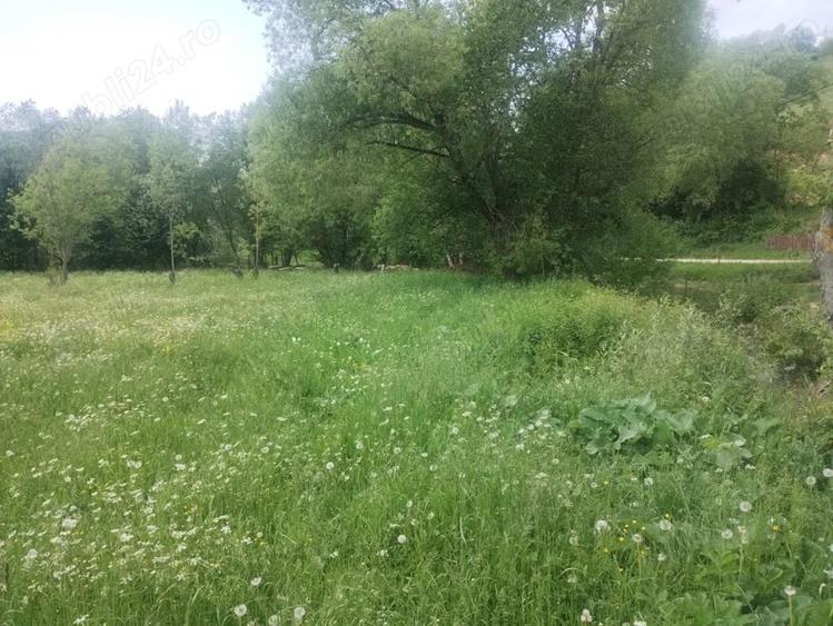 Teren de 5800 mp, în Scrădoasa