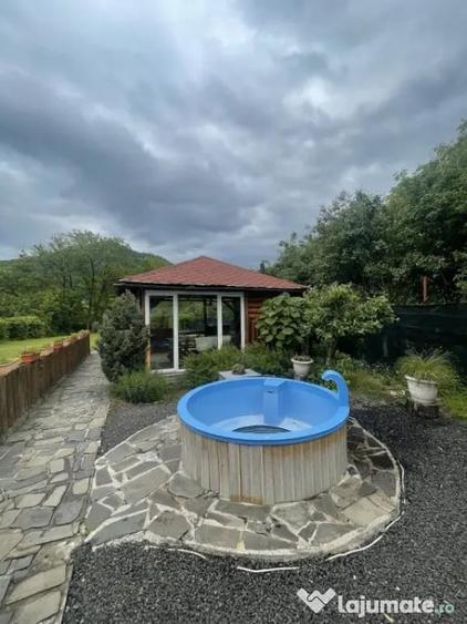 Casă cu 8 camere cu Piscina în Săsar