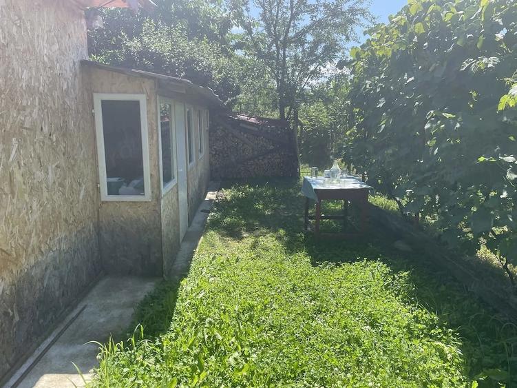 Teren de 850 mp, în Homorâciu
