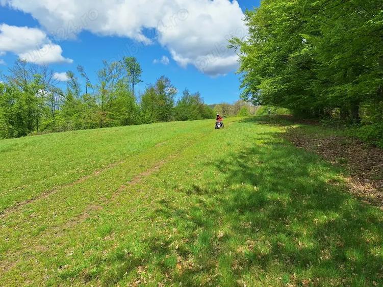 Teren de 46000 mp, în Slatina de Mureș