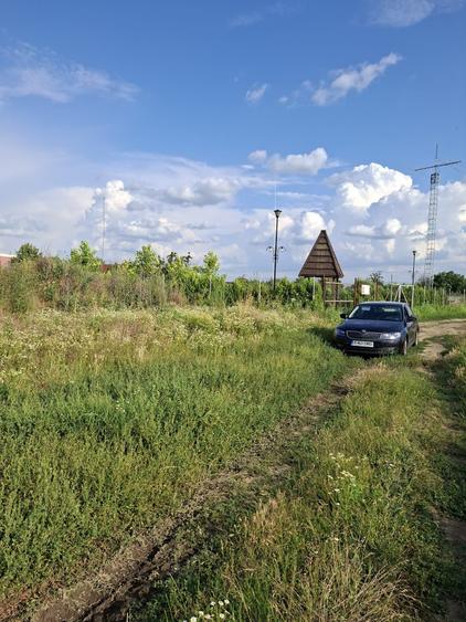 TEREN DE VANZARE - 3