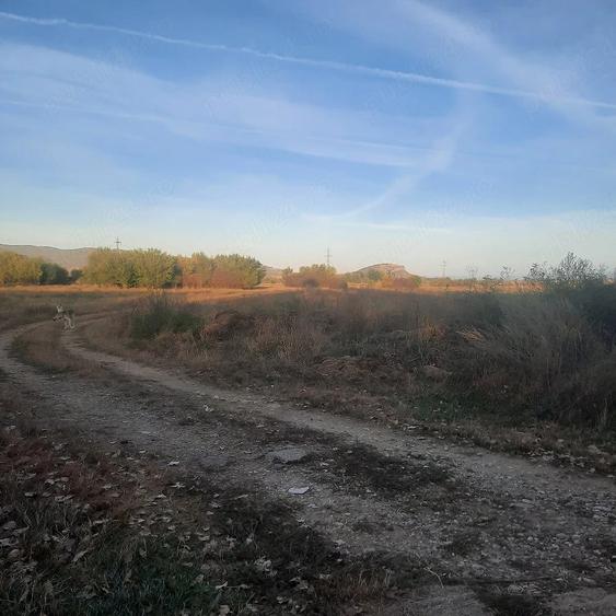 Teren de 7500 mp, în DHS