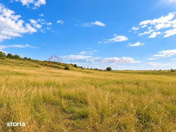 Teren de 3800 mp, în Sava