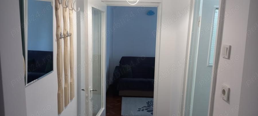 Apartament cu 2 camere nedecomandat, mobilat în Brotăcei