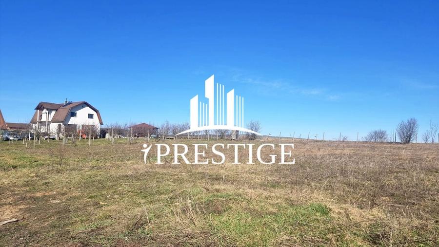 Teren agricol extravilan de 873 mp, în Șura Mică