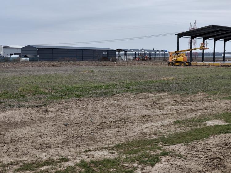 Teren Construcții intravilan de 1500 mp, în Bâcu