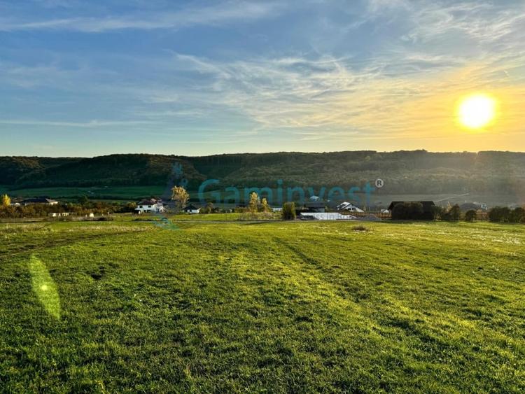 Teren Construcții intravilan de 5487 mp, în Betfia