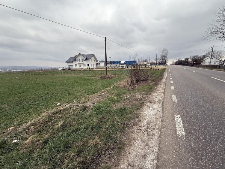 Teren Construcții intravilan de 3255 mp, în Grănicești