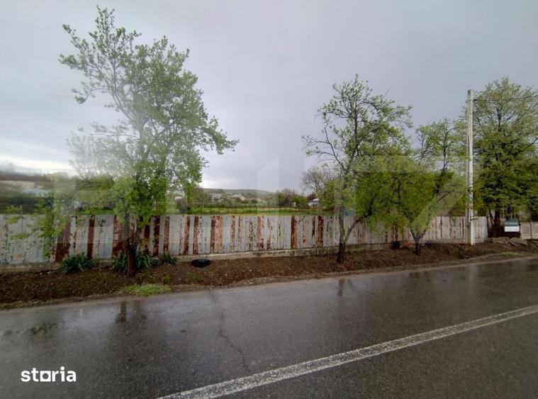 Teren de 1685 mp, în Almăj