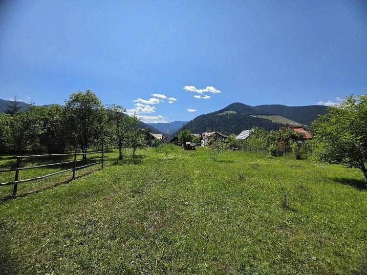 Casă cu 5 camere cu Teren 2800 Mp în Borca