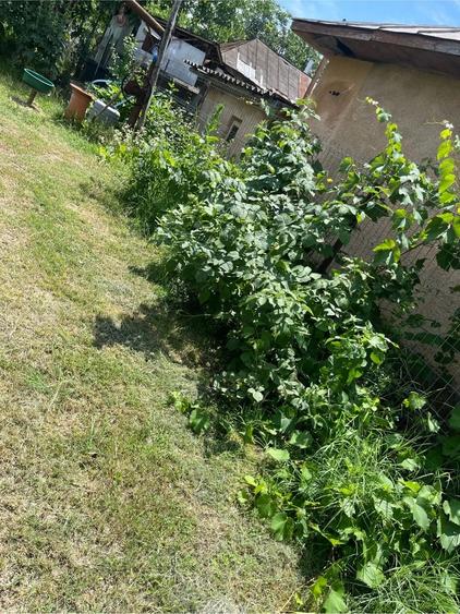 Casă cu Teren 3600 Mp în Coada Izvorului