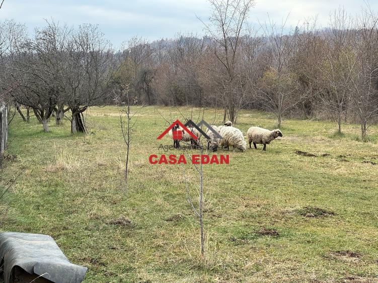 Teren Construcții intravilan de 2080 mp, în Brebu Mânăstirei