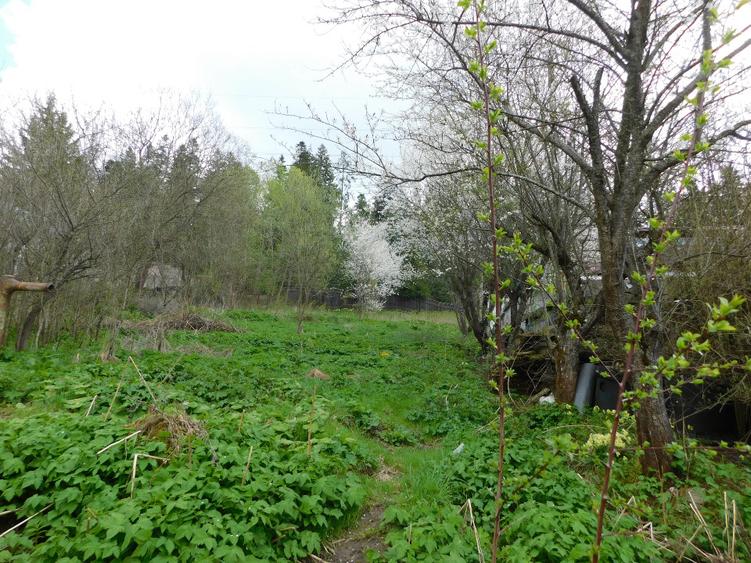 Teren Construcții intravilan de 1000 mp, în Central