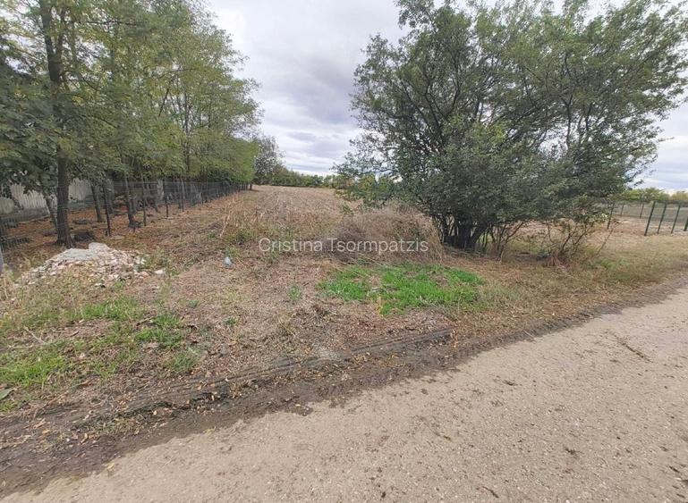 Teren intravilan 3.700 mp de vânzare – Bara, comuna Balta Doamnei, Prahova