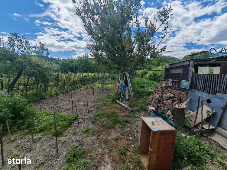 Casă cu 8 camere cu Teren 1150 Mp în Blăgești