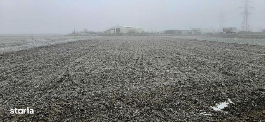 Teren de 6500 mp, în Tărtășești