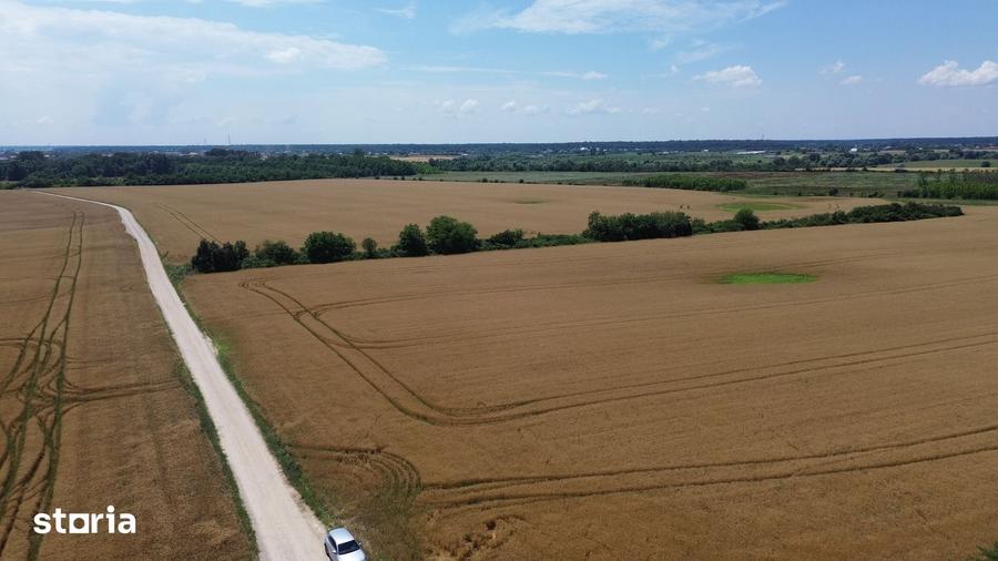 Ciolpani-Ilfov, Teren intravilan-20 ha - 5