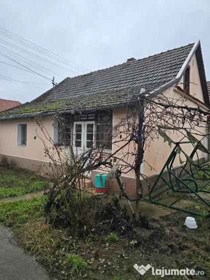 Casă cu 5 camere cu Teren 3040 Mp în Tămășeu