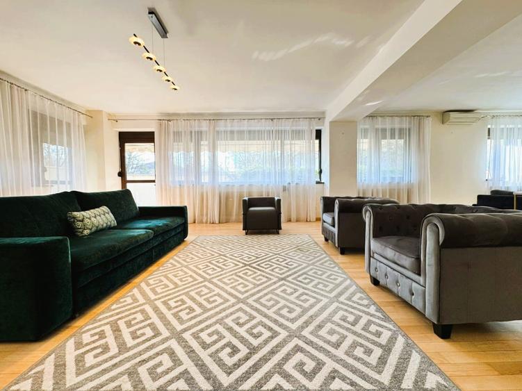 Inchiriere apartament 160 mp- 3 camere cu gradina zona Nordului Sat Francez - 12