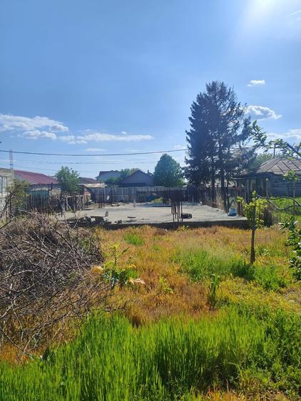 Teren de 700 mp, în Beba Veche
