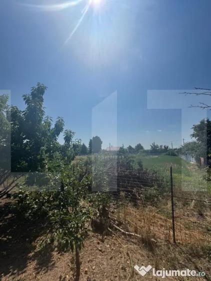 Casă cu 2 camere cu Teren 1326 Mp în Central