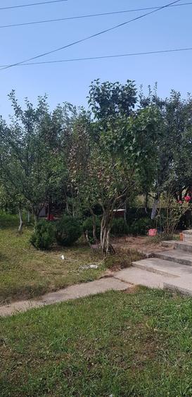 Casă cu 4 camere cu Teren 320 Mp în Central