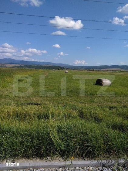 Teren extravilan, Livezile, 1.83 hectare - 5